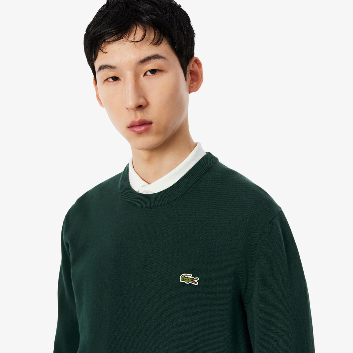 LACOSTE Pullover Girocollo Basic In Misto Lana Verde