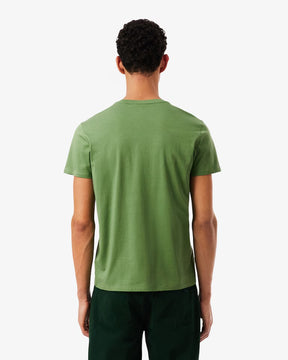 LACOSTE T-Shirt Basic In Cotone Pima Verde Chiaro