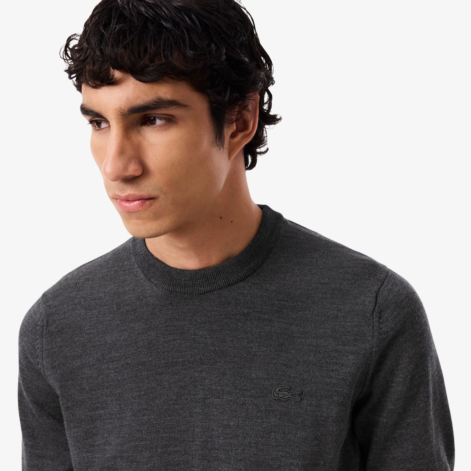 LACOSTE Maglioncino Basic in 100% Lana Grigio