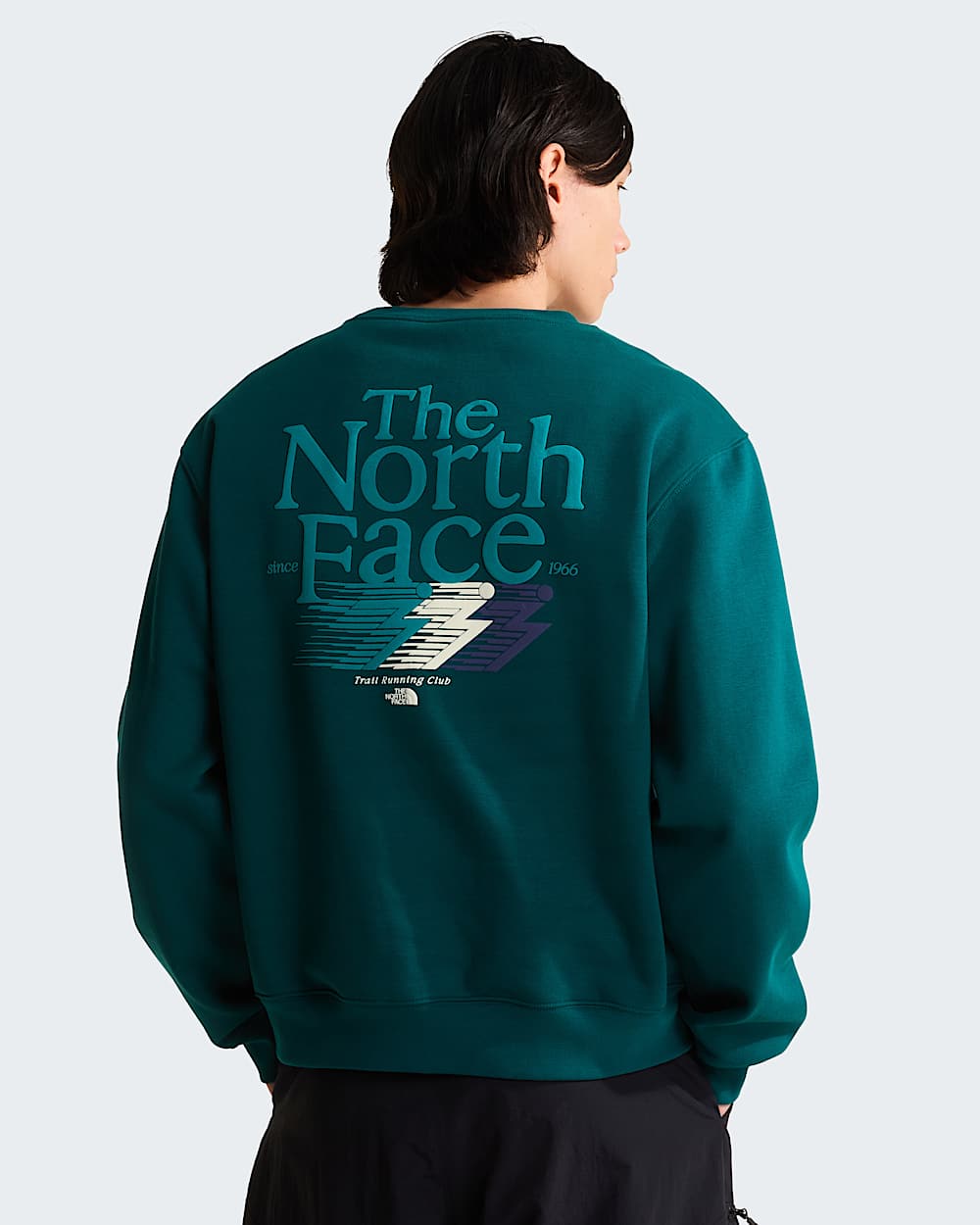 THE NORTH FACE Felpa Girocollo Con Stampa Sul Retro Logo Fulmini Verde/Bianca 26/27