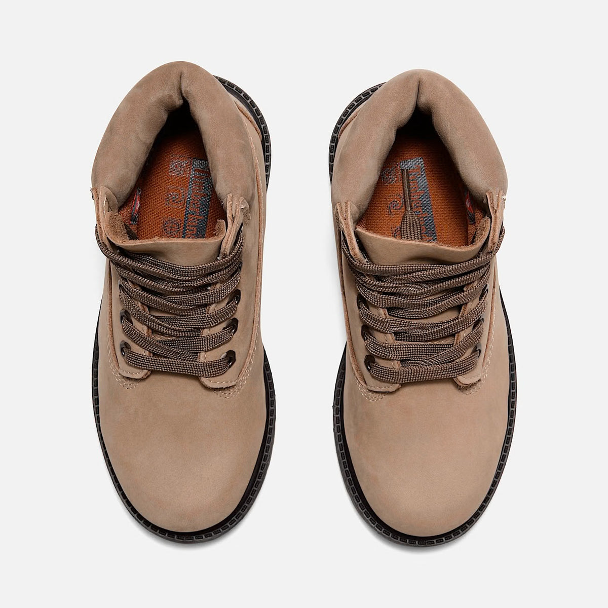 TIMBERLAND Premium 6 in lace Beige Bambino