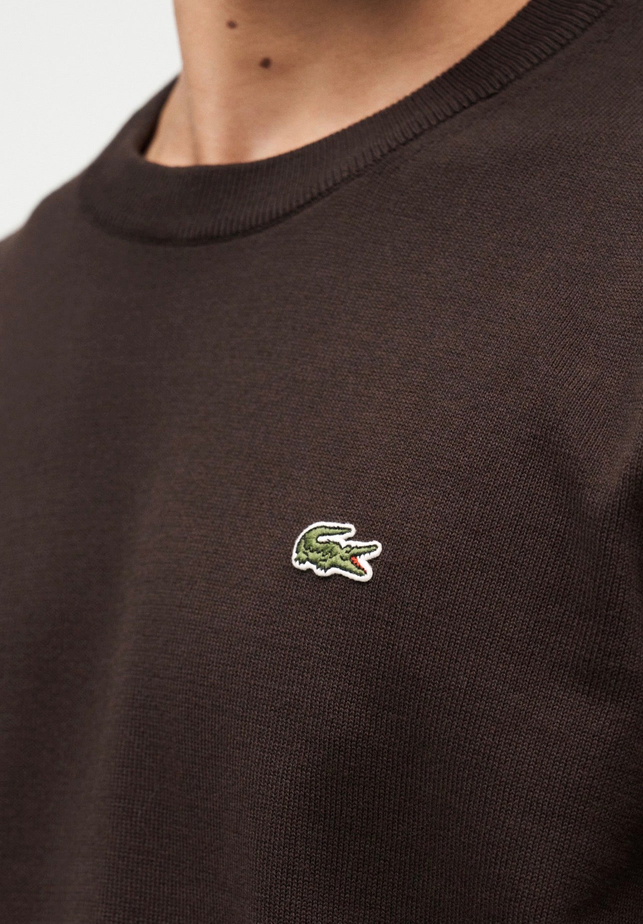 LACOSTE Maglioncino In Cotone Marrone AH0128 3LA