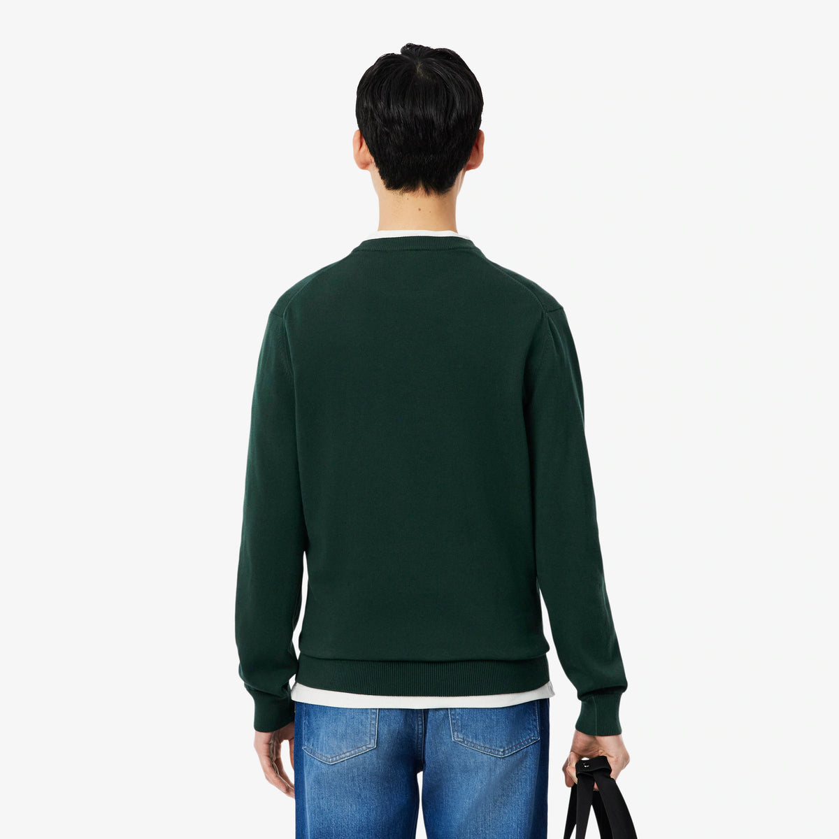 LACOSTE Pullover Girocollo Basic In Cotone Verde