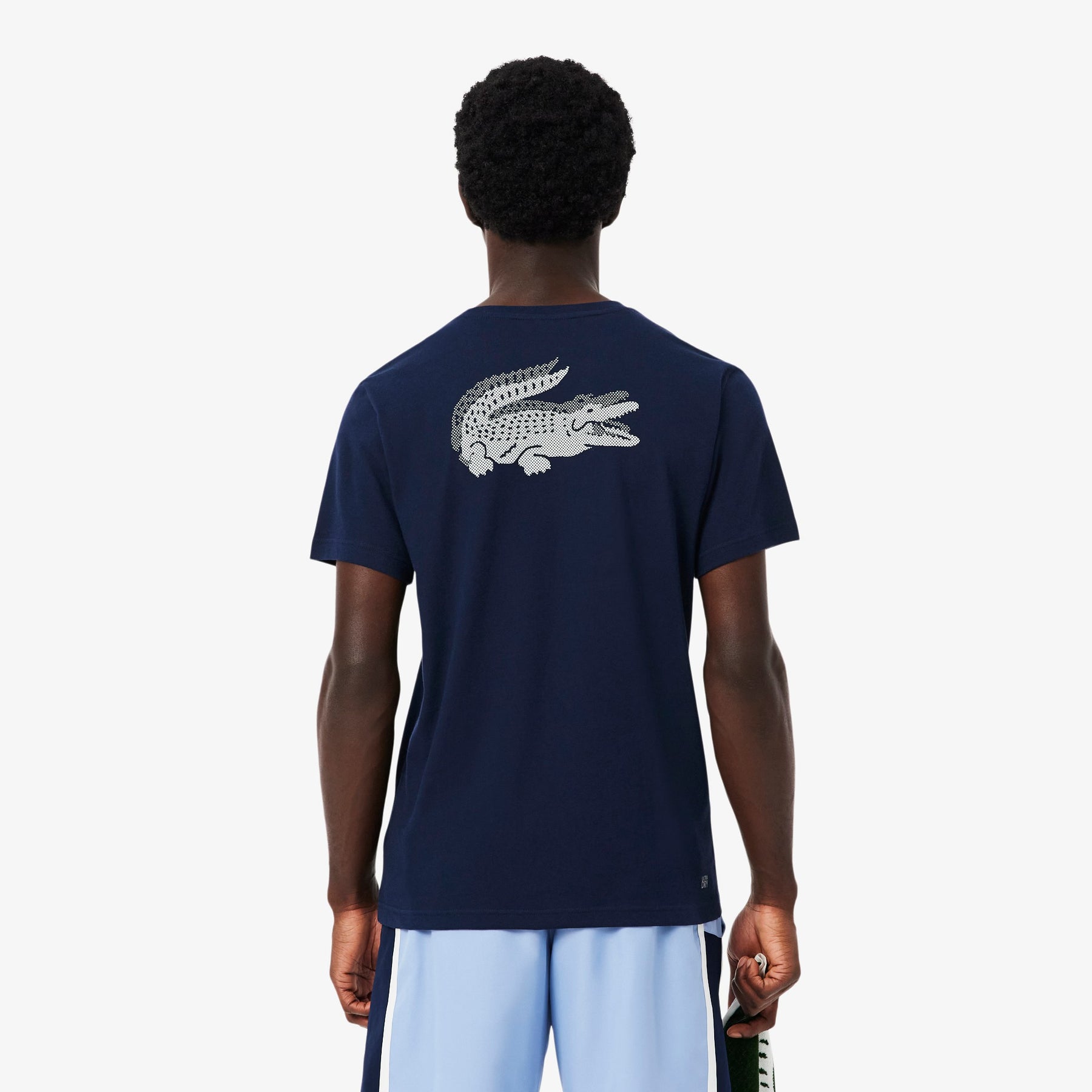 LACOSTE T-Shirt Logo Retro Blu