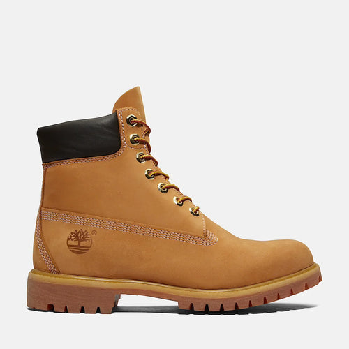 Timberland Premium Tallocino Marrone