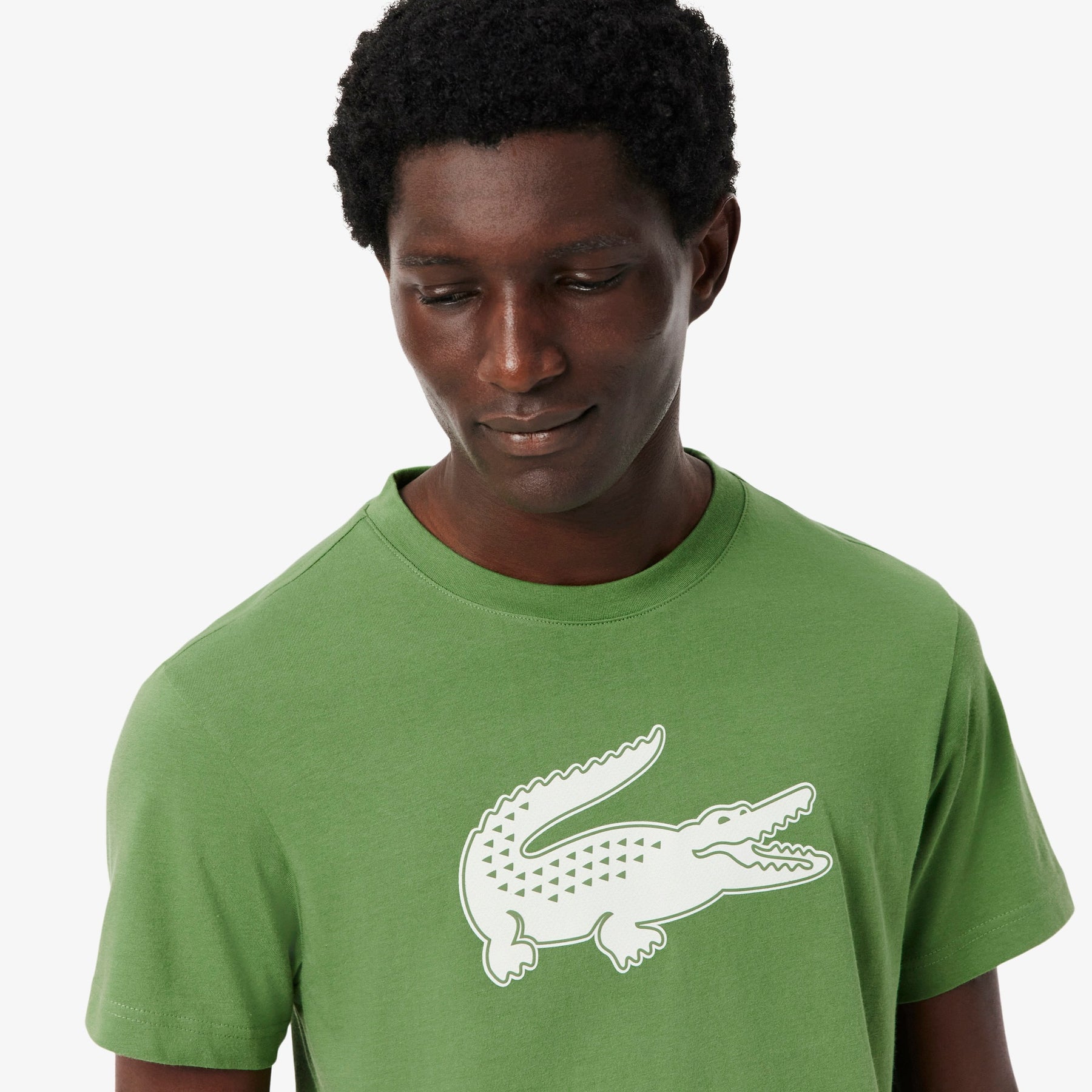LACOSTE T-Shirt Logo Centrale Verde e Bianca