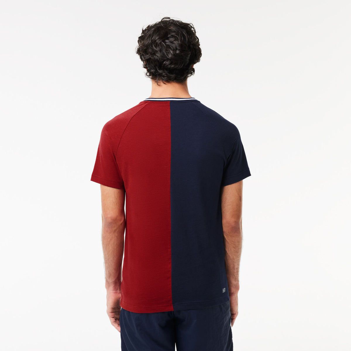 LACOSTE T-Shirt Con Stampa Blu/Rossa