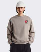 THE NORTH FACE Felpa Girocollo Con Grafica Frontale e Sul Retro Grigia/Rossa 26/27