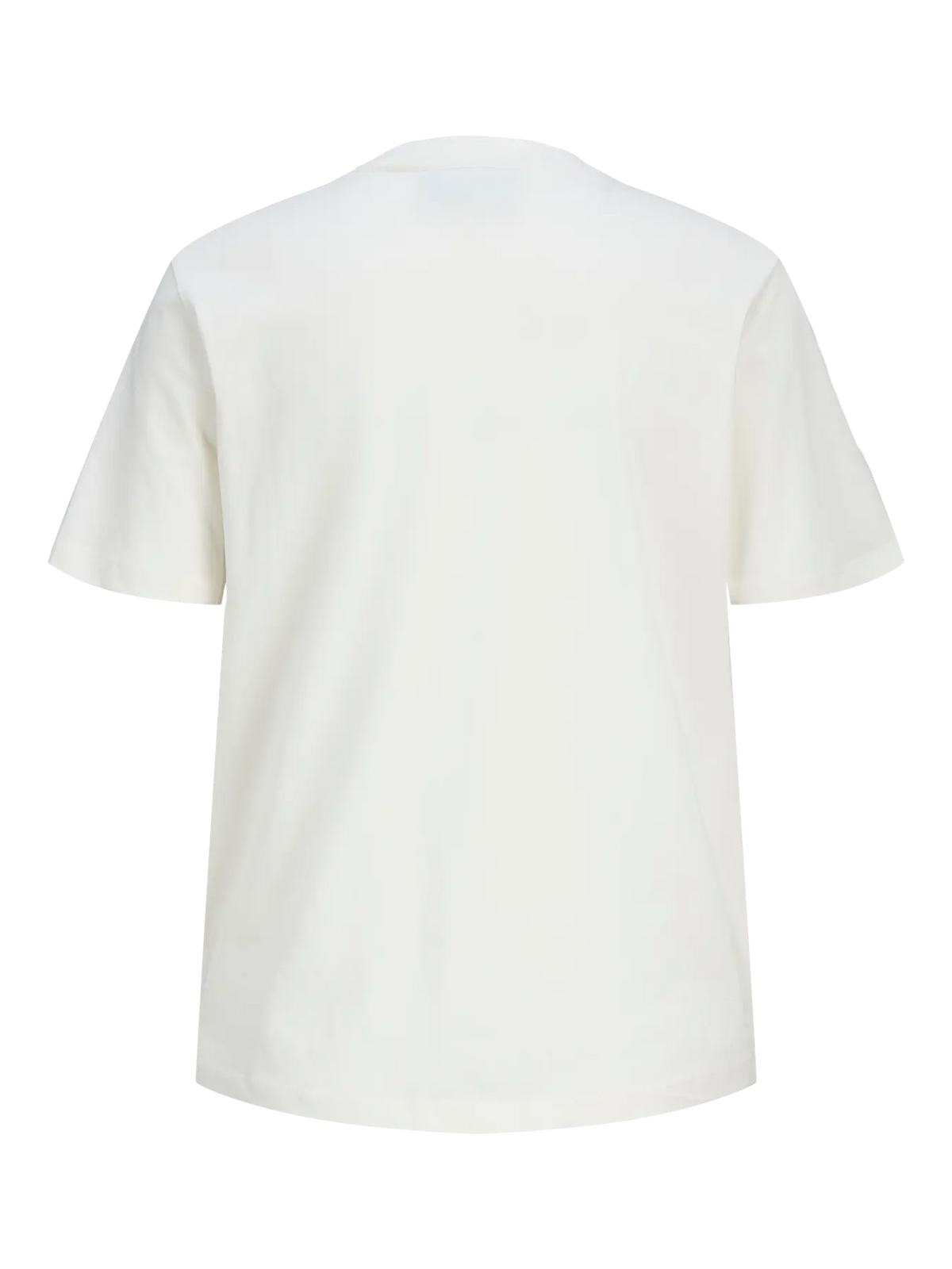 JJXX DONNA T-SHIRT JXMERLE BIANCA/VERDE