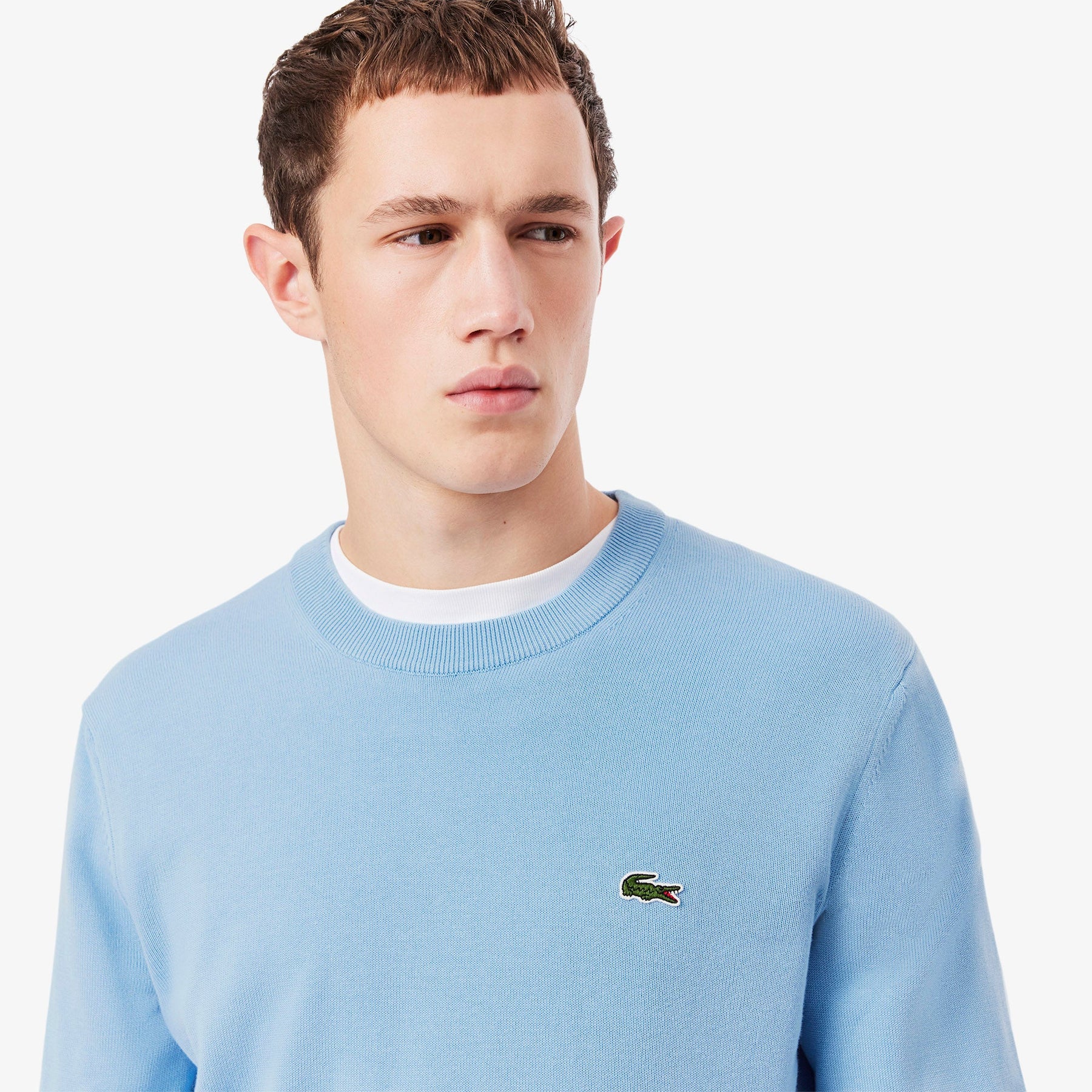 Pullover Lacoste Girocollo in cotone azzurro - Lacoste