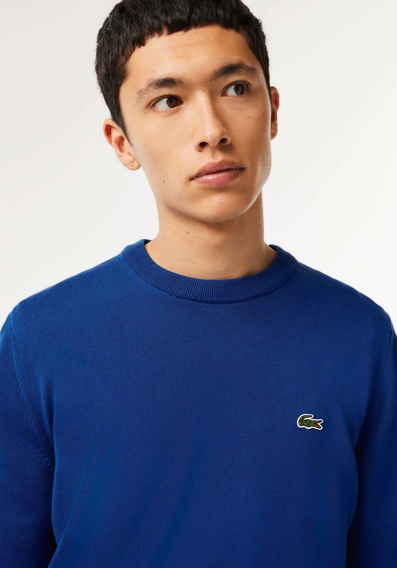 Pullover Lacoste Girocollo in cotone blu elettrico - Lacoste