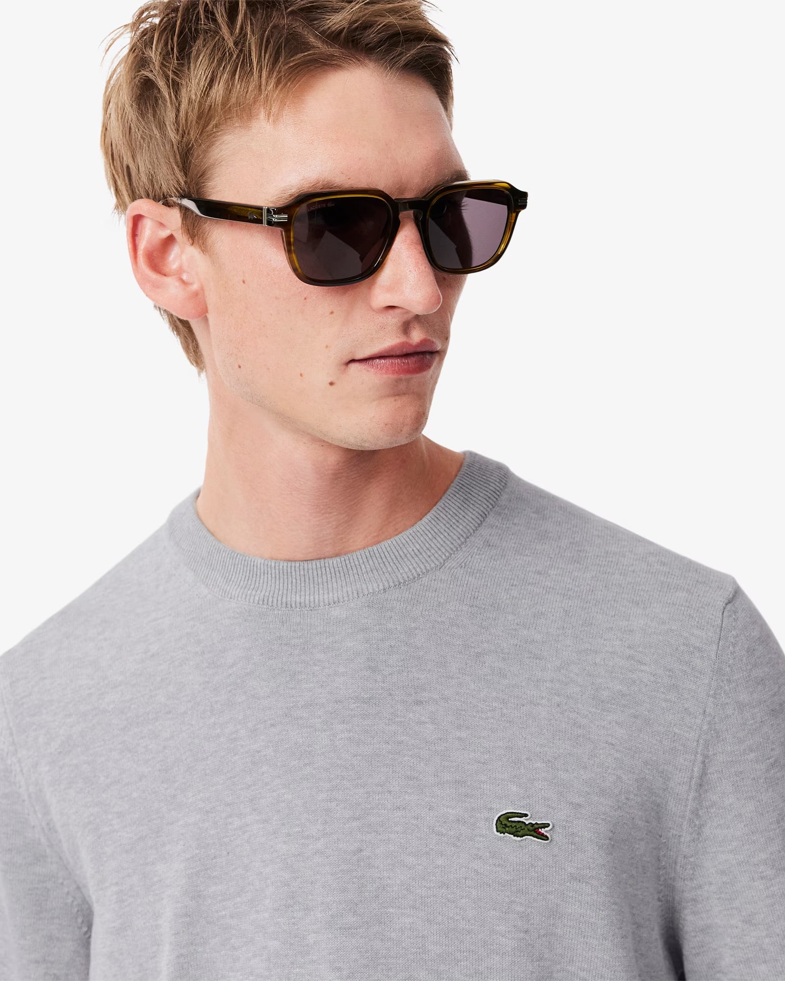 Pullover Lacoste Girocollo in cotone grigio - Lacoste