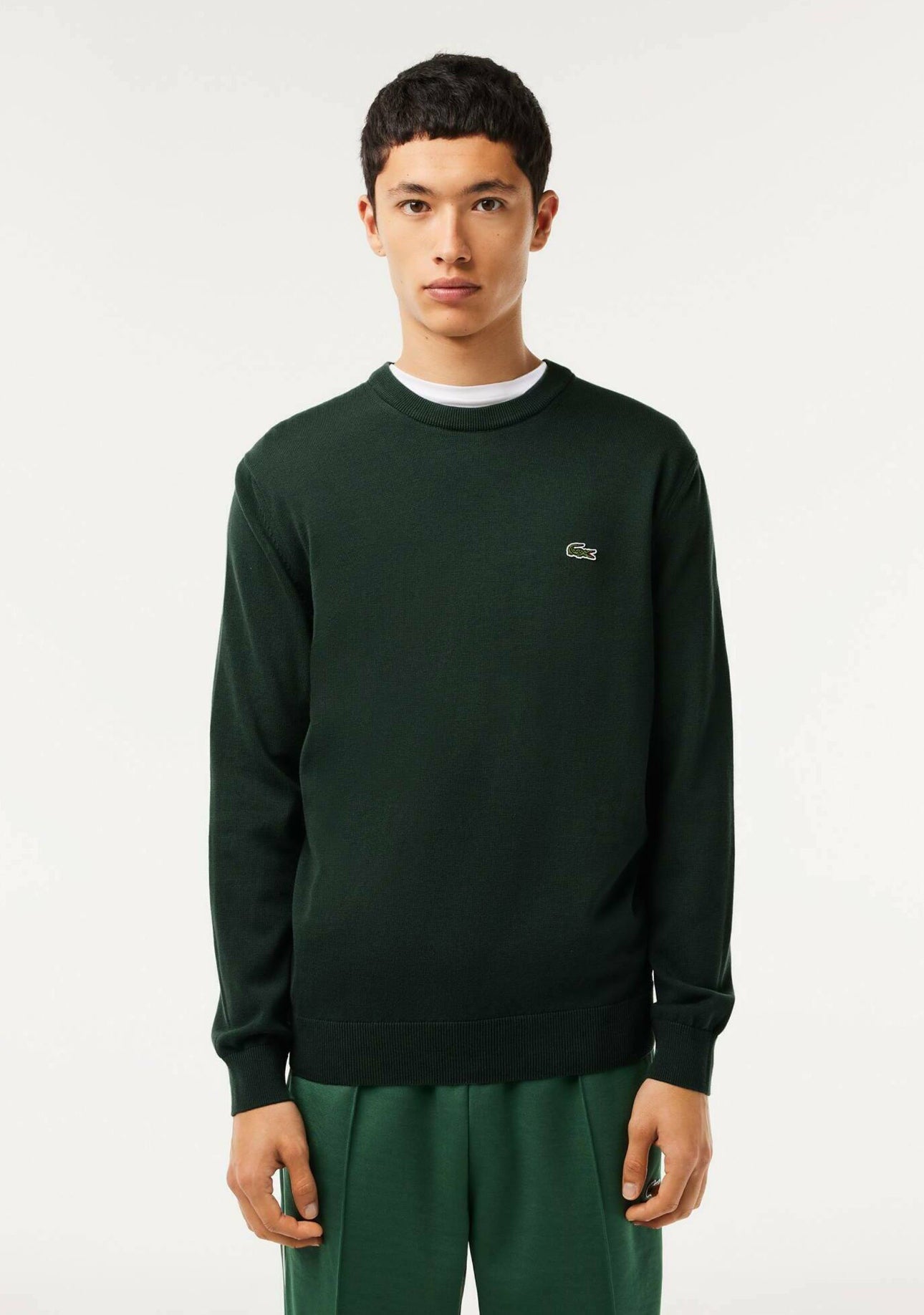 Pullover Lacoste Girocollo in cotone verde petrolio - Lacoste