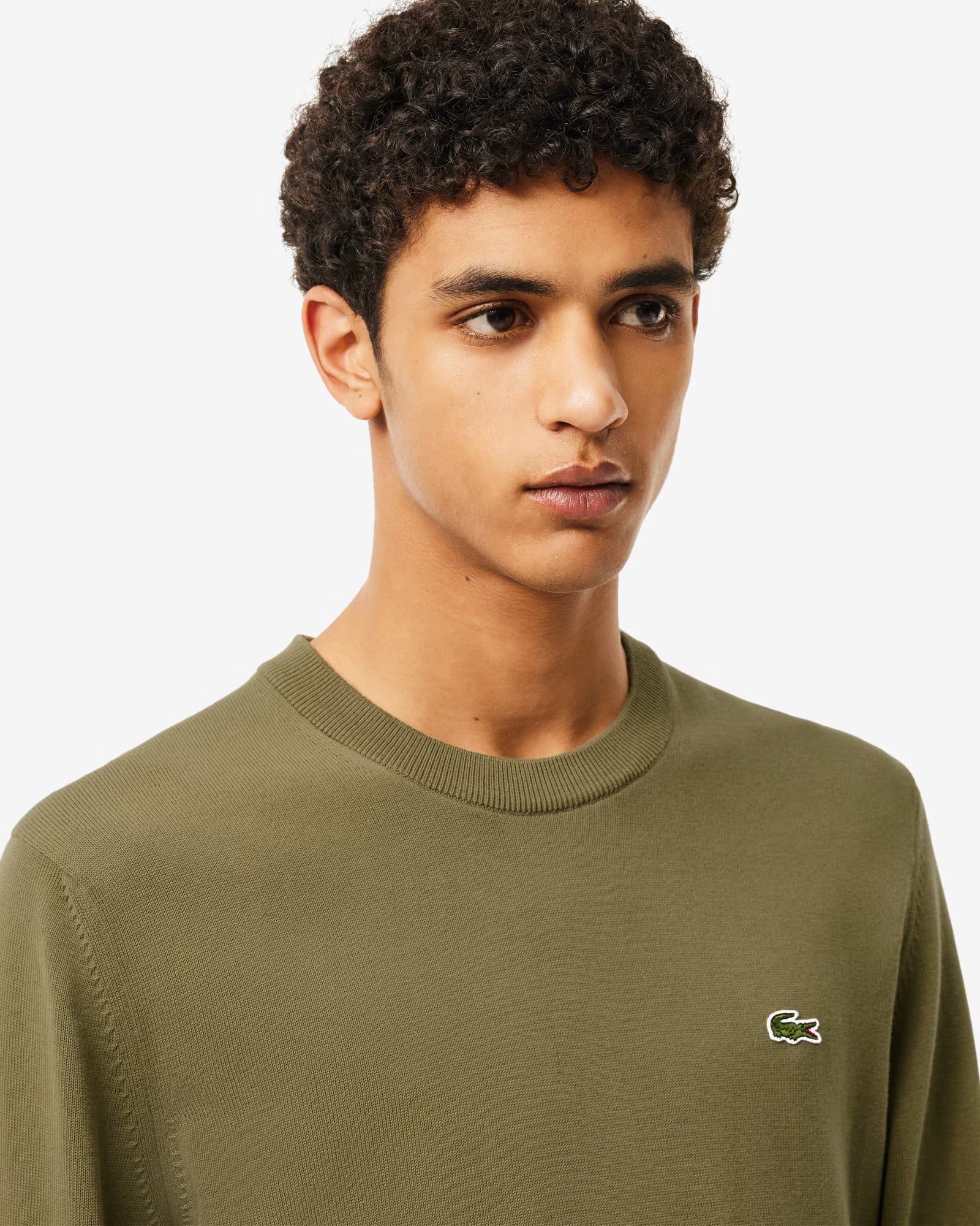 Pullover Lacoste Girocollo in cotone Verdone - Lacoste